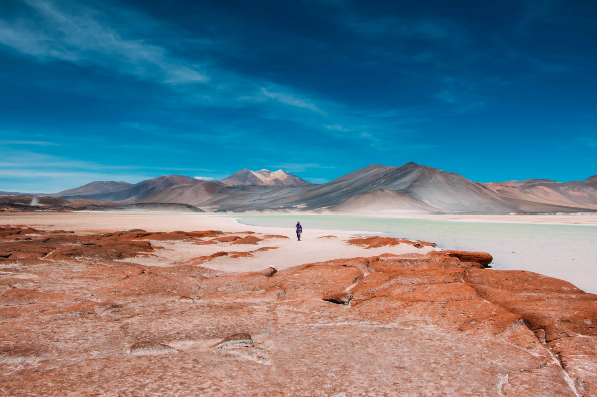 Atacama Desert Day 7.1 12