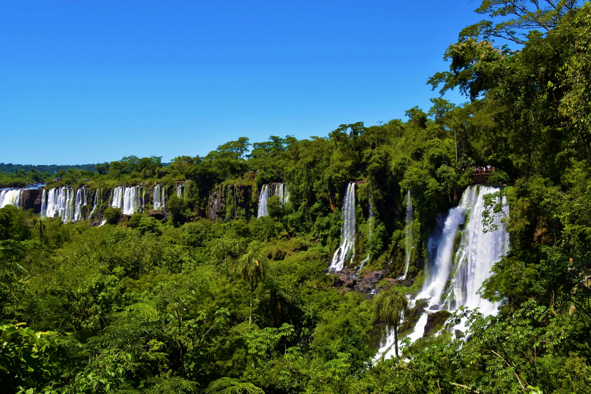 Day 4 rainforest Iguazú Falls