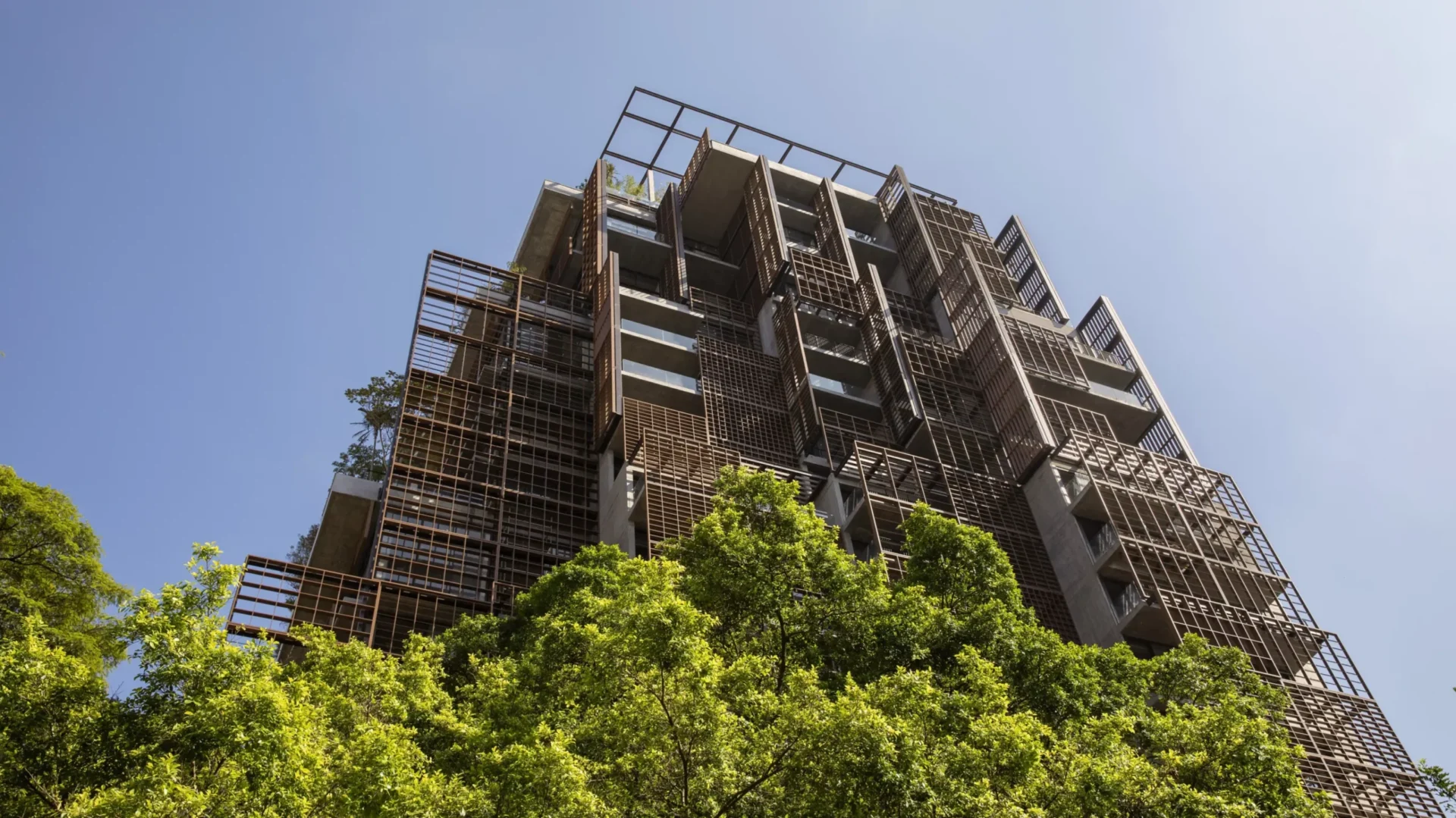 Rosewood, São Paulo 1