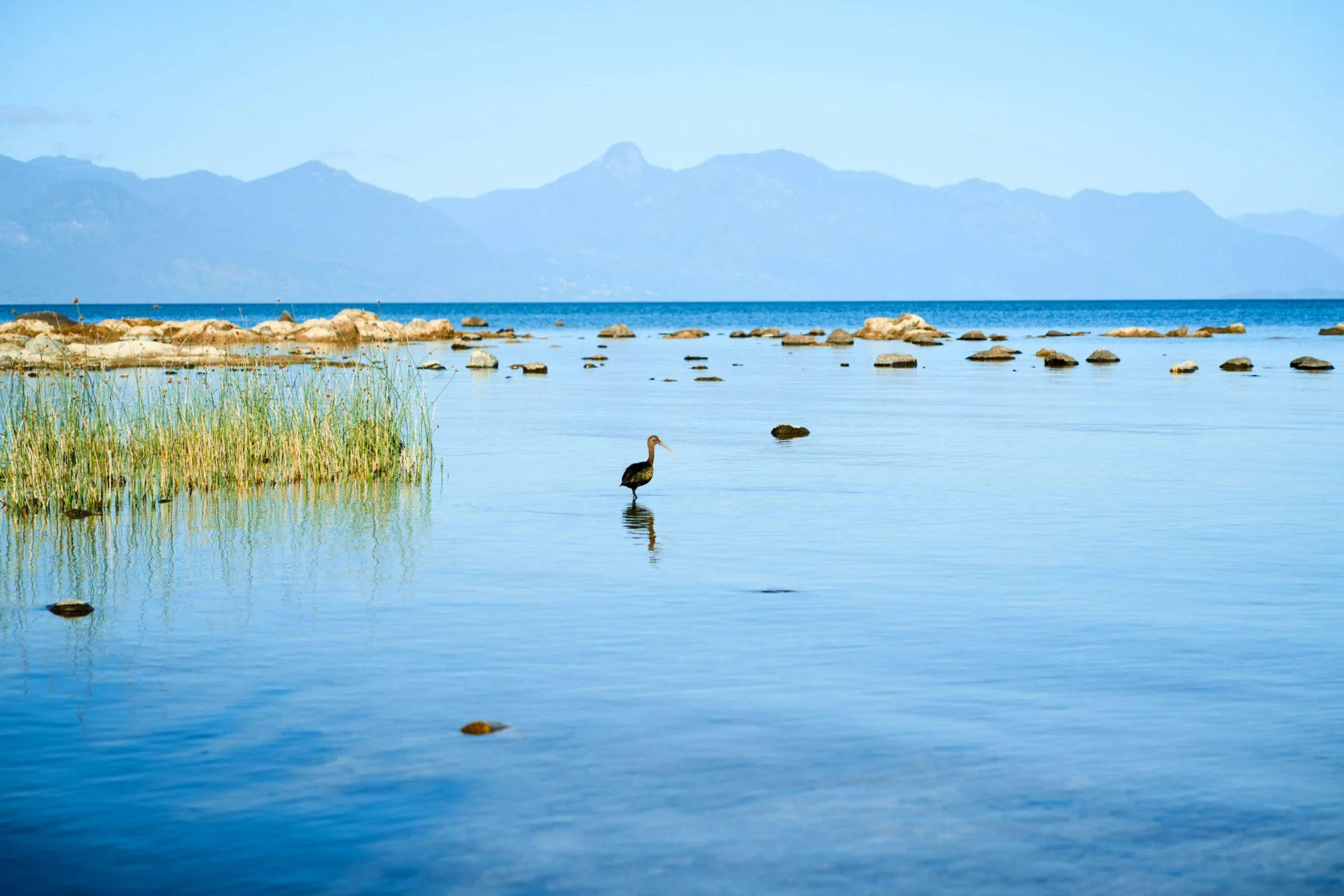 Villarrica Lake