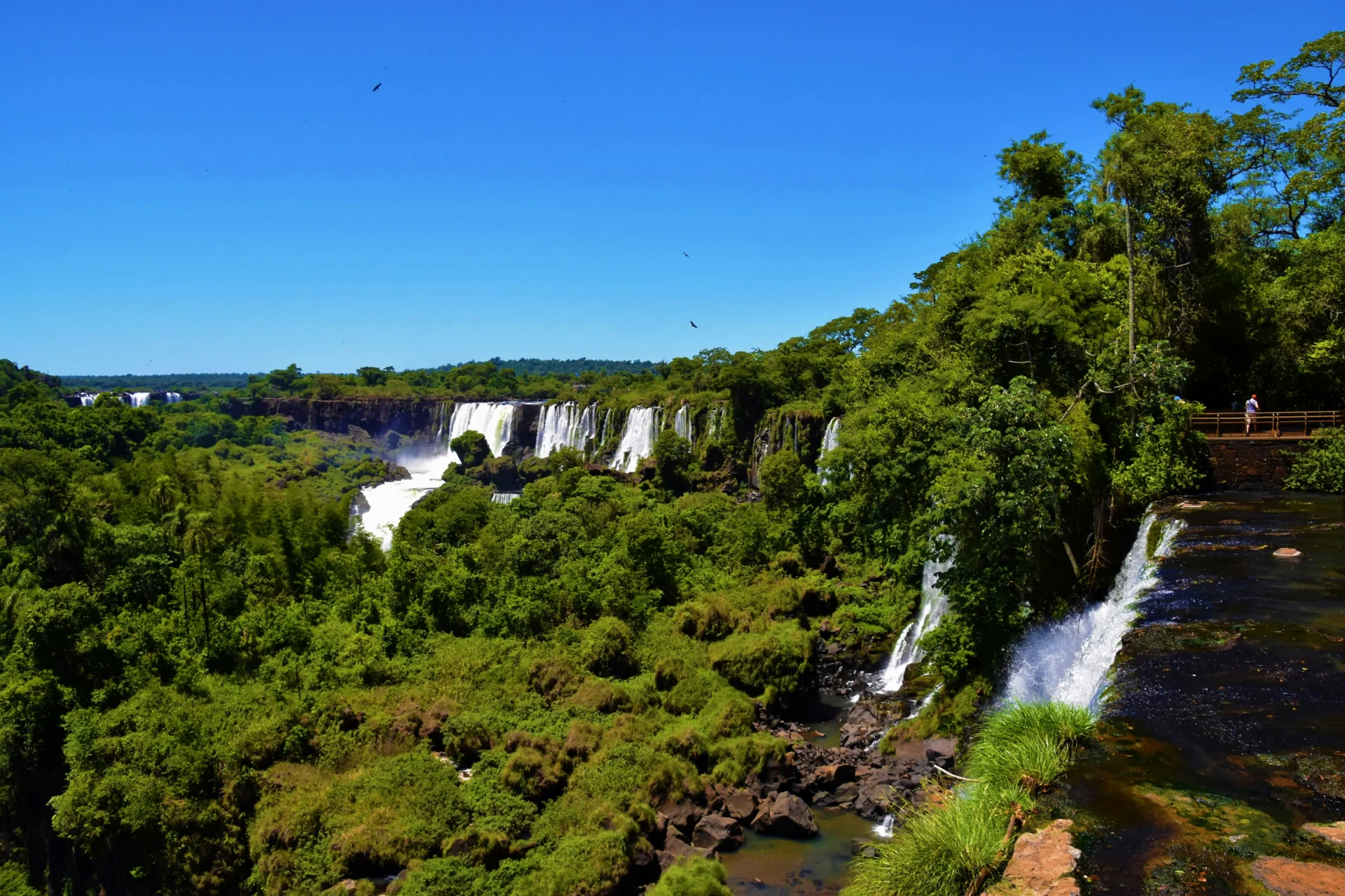 day 5 Iguazú’s 07