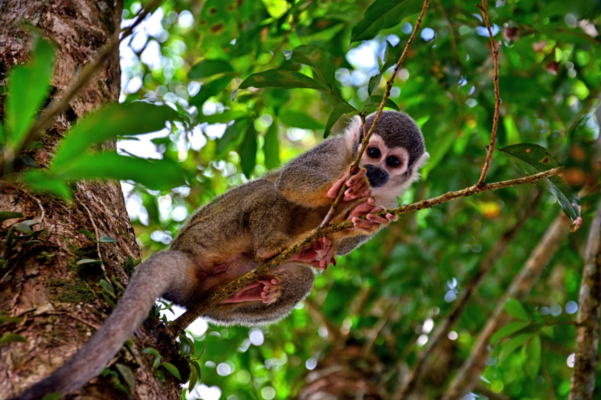 wildlife wonder Day 4 08