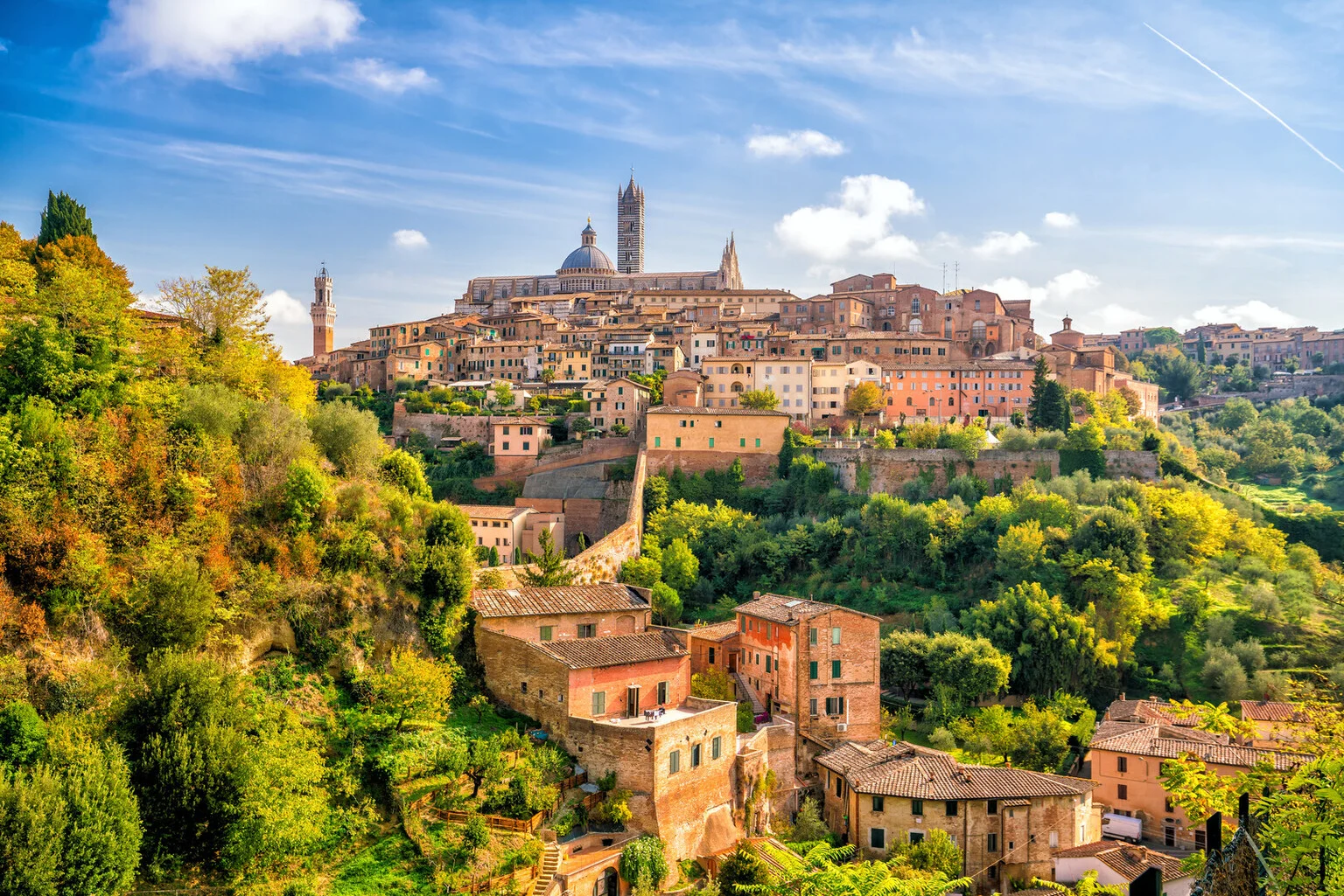 1.1 Siena 17