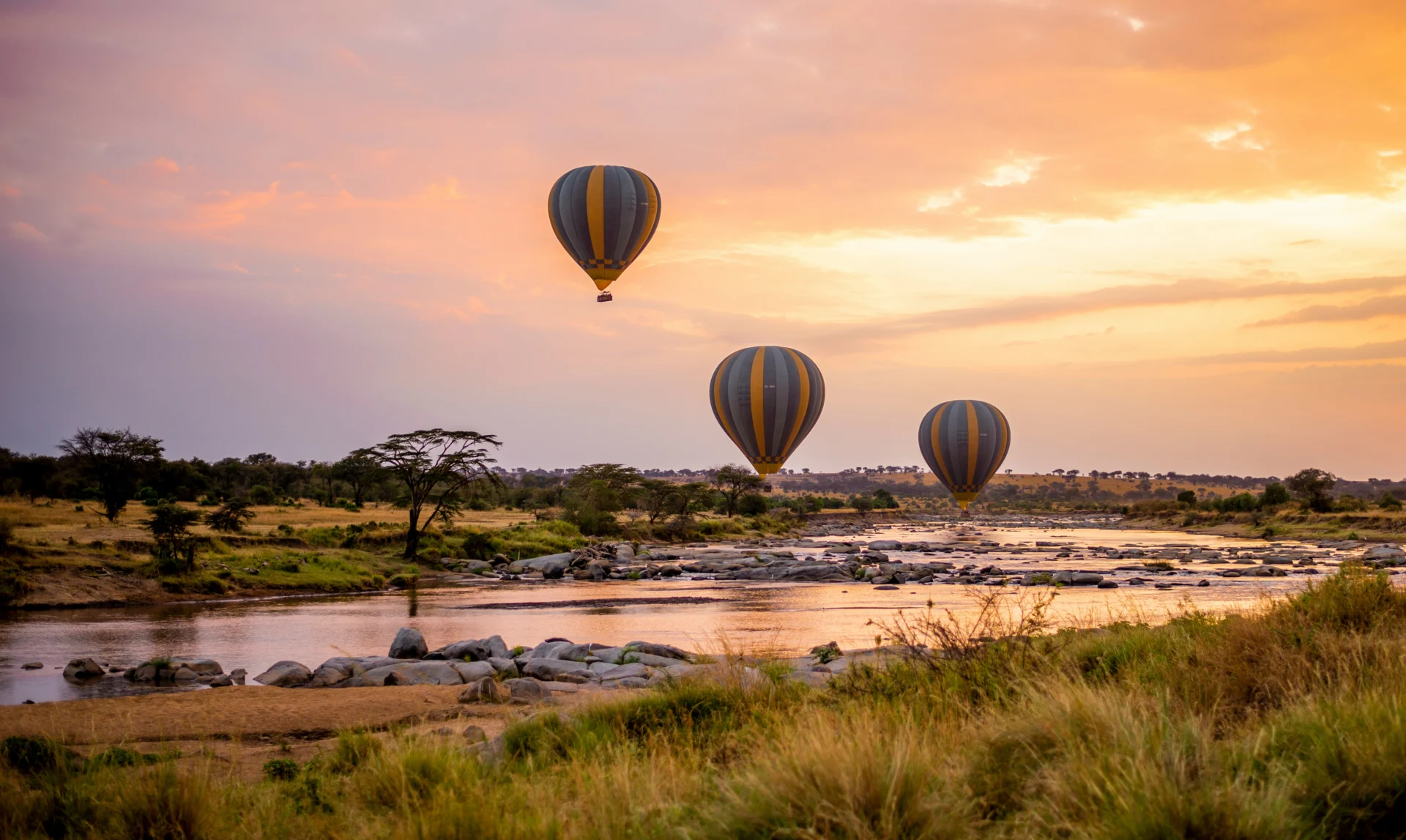 2.1 Serengeti 28