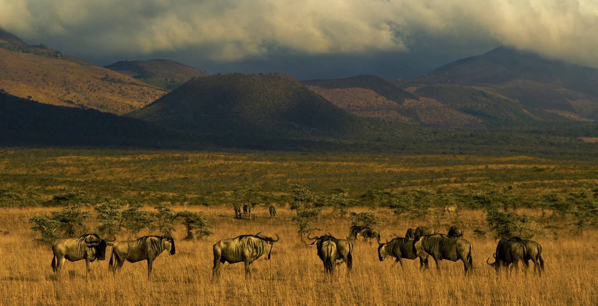 Amboseli National Park 46