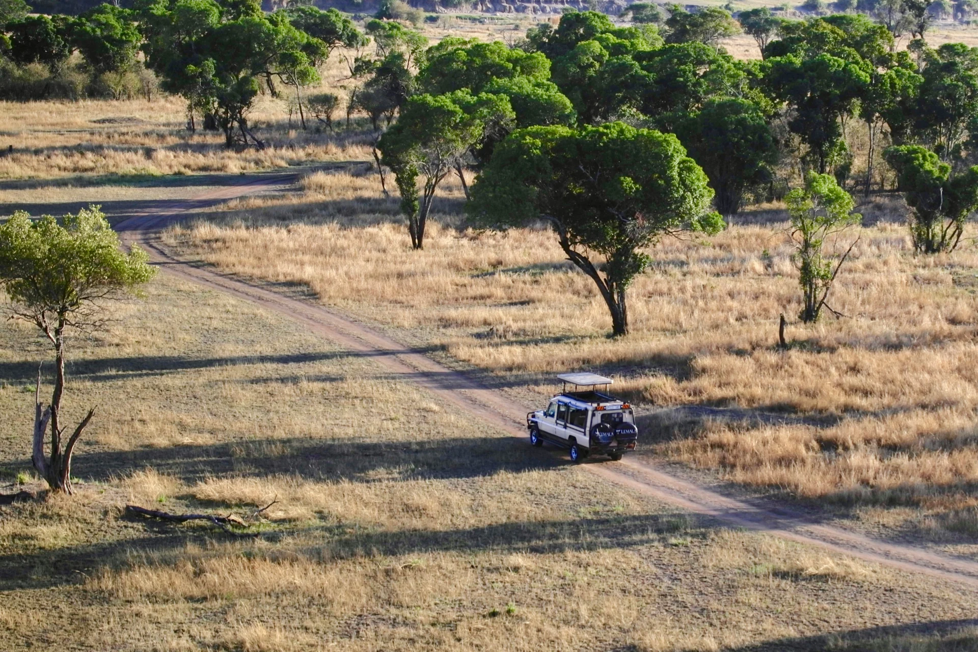 Arusha 28