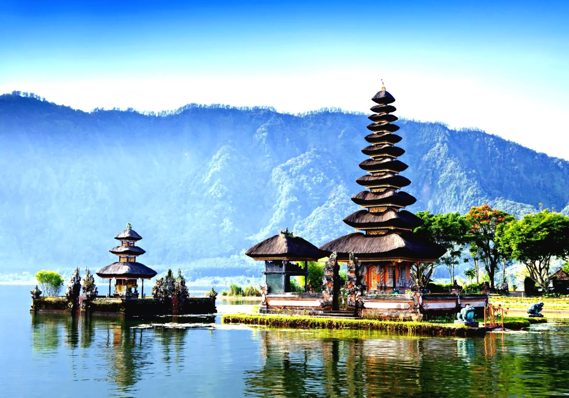 Bedugul 36
