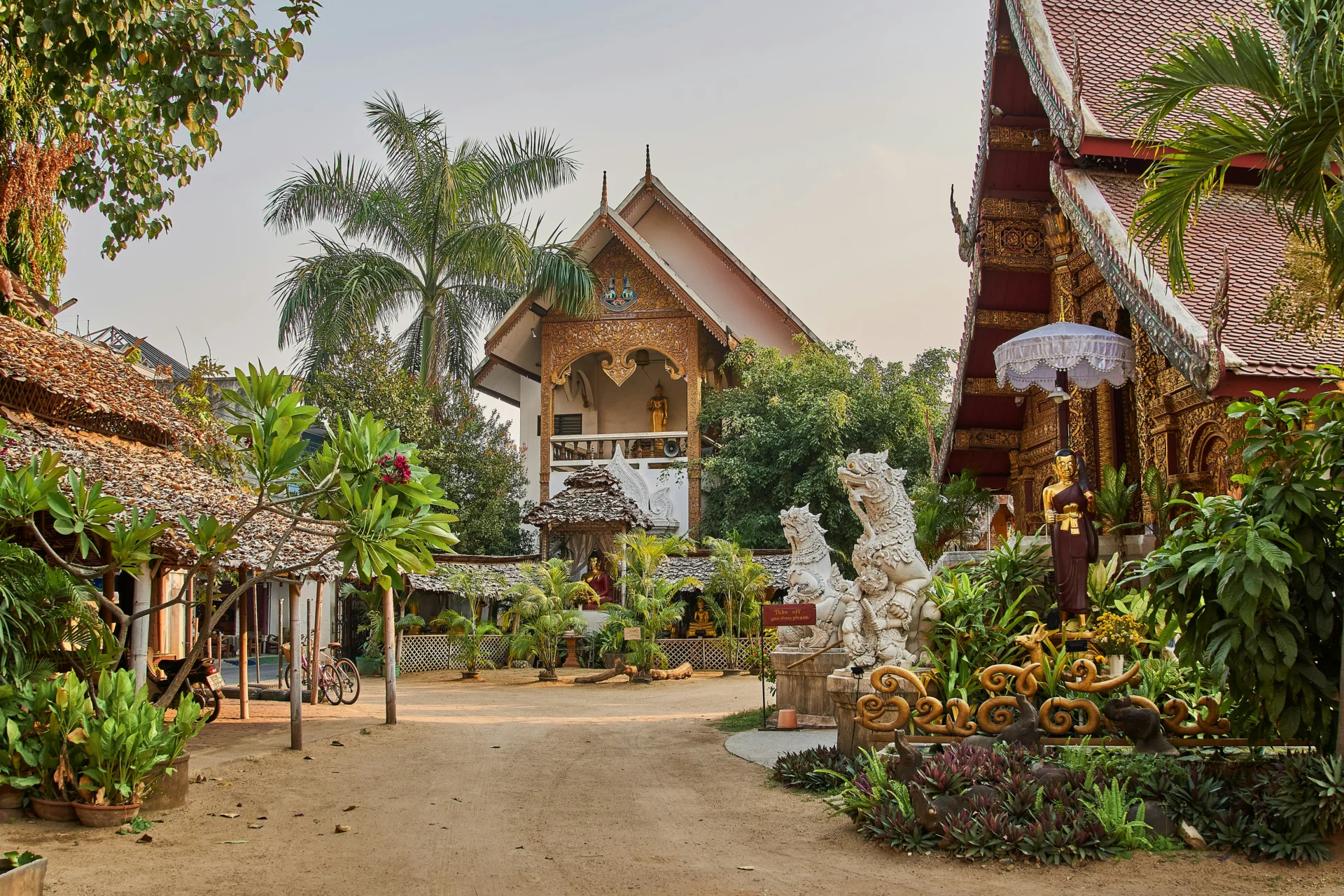 Chiang Mai 23