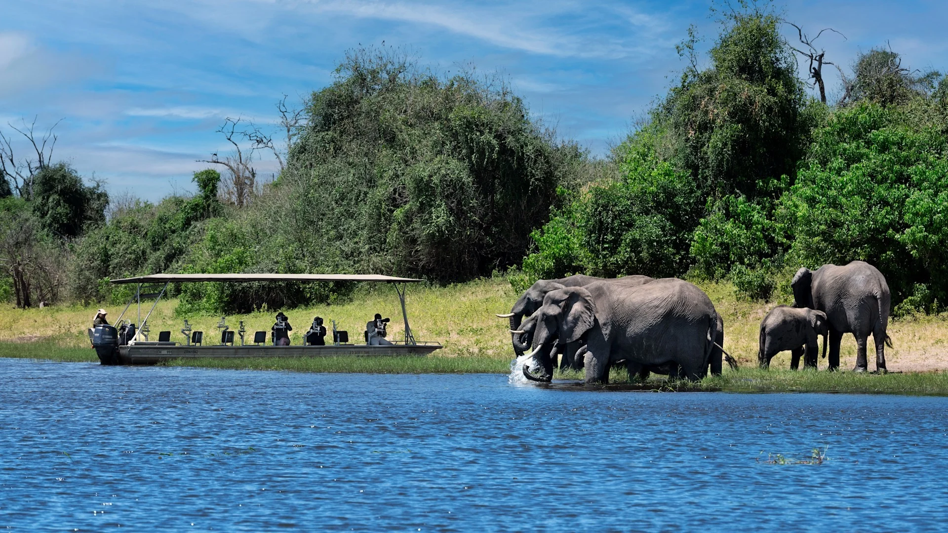 Chobe National Park 42