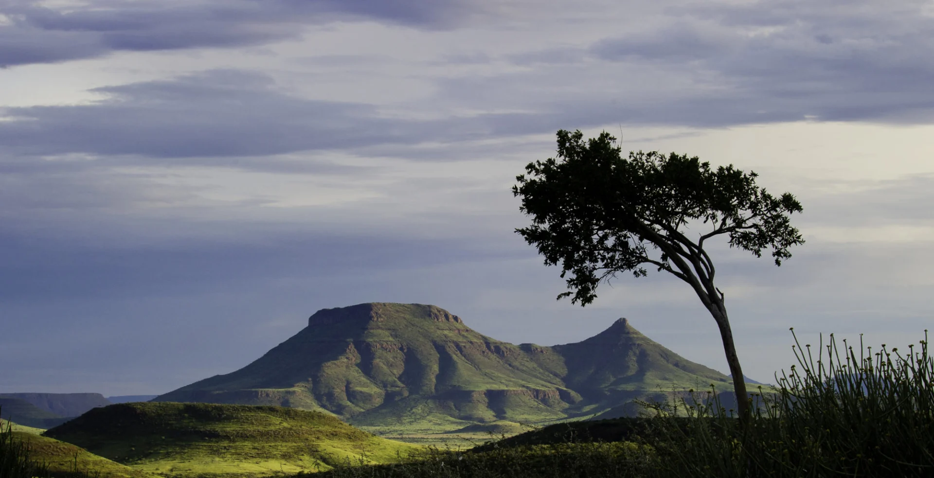 Damaraland 45