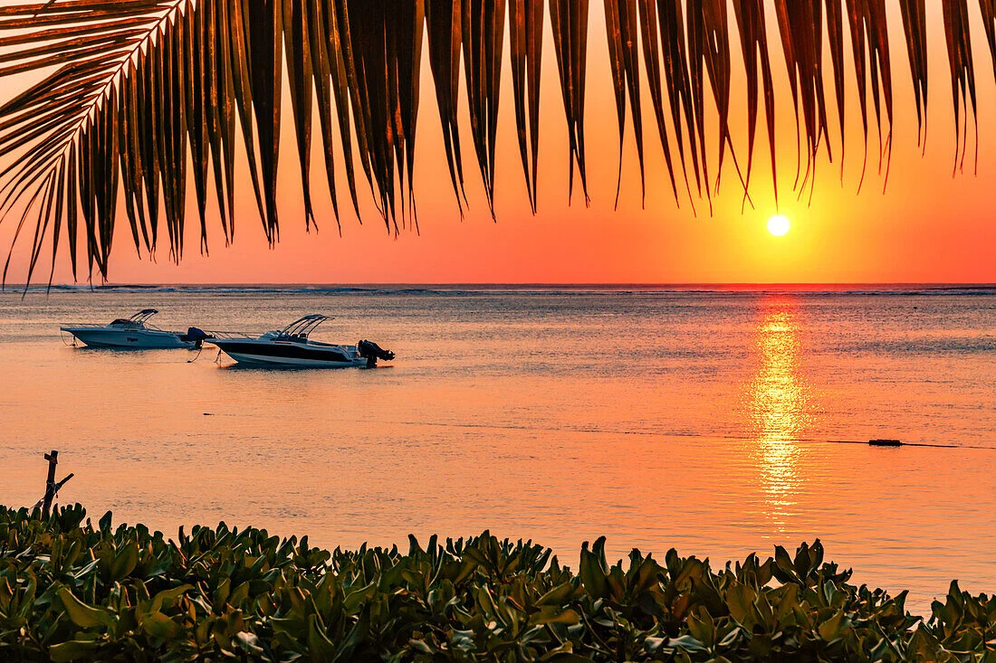 Day 11 Mauritius Departure
