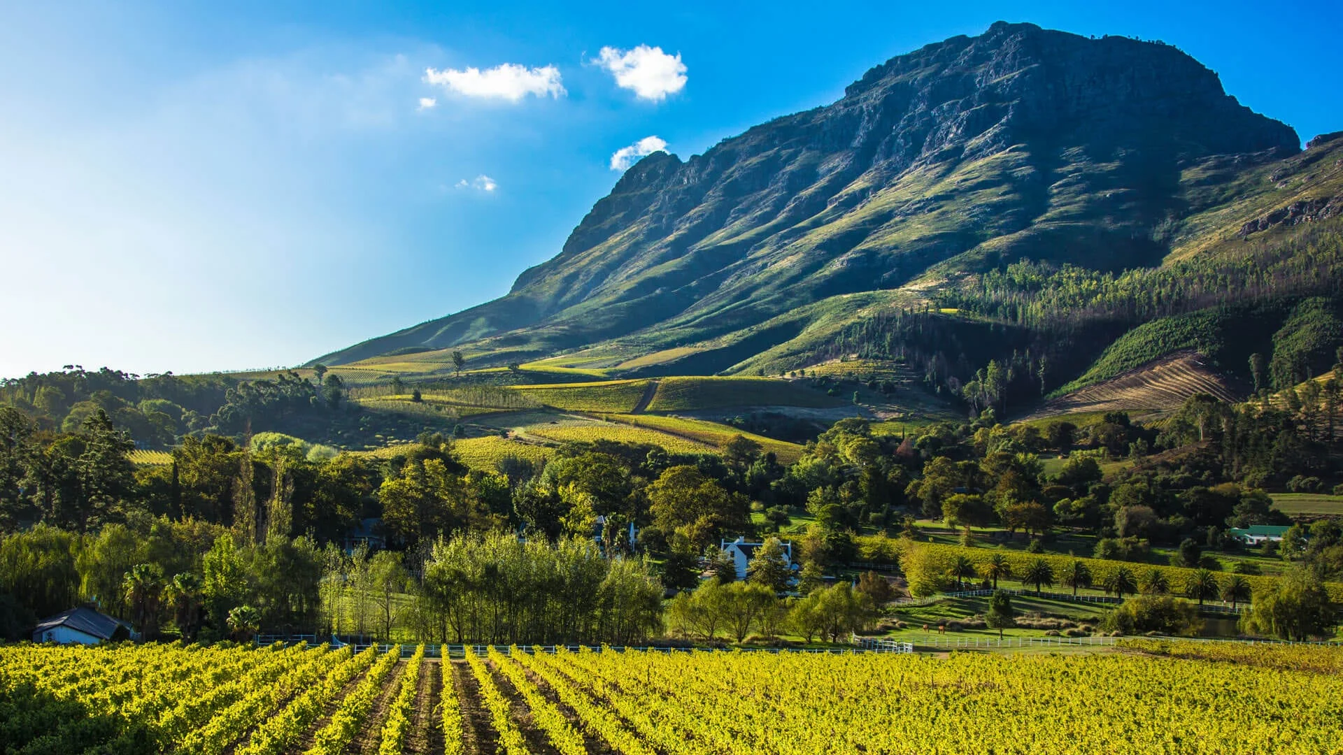 Day 14 cape-winelands-43