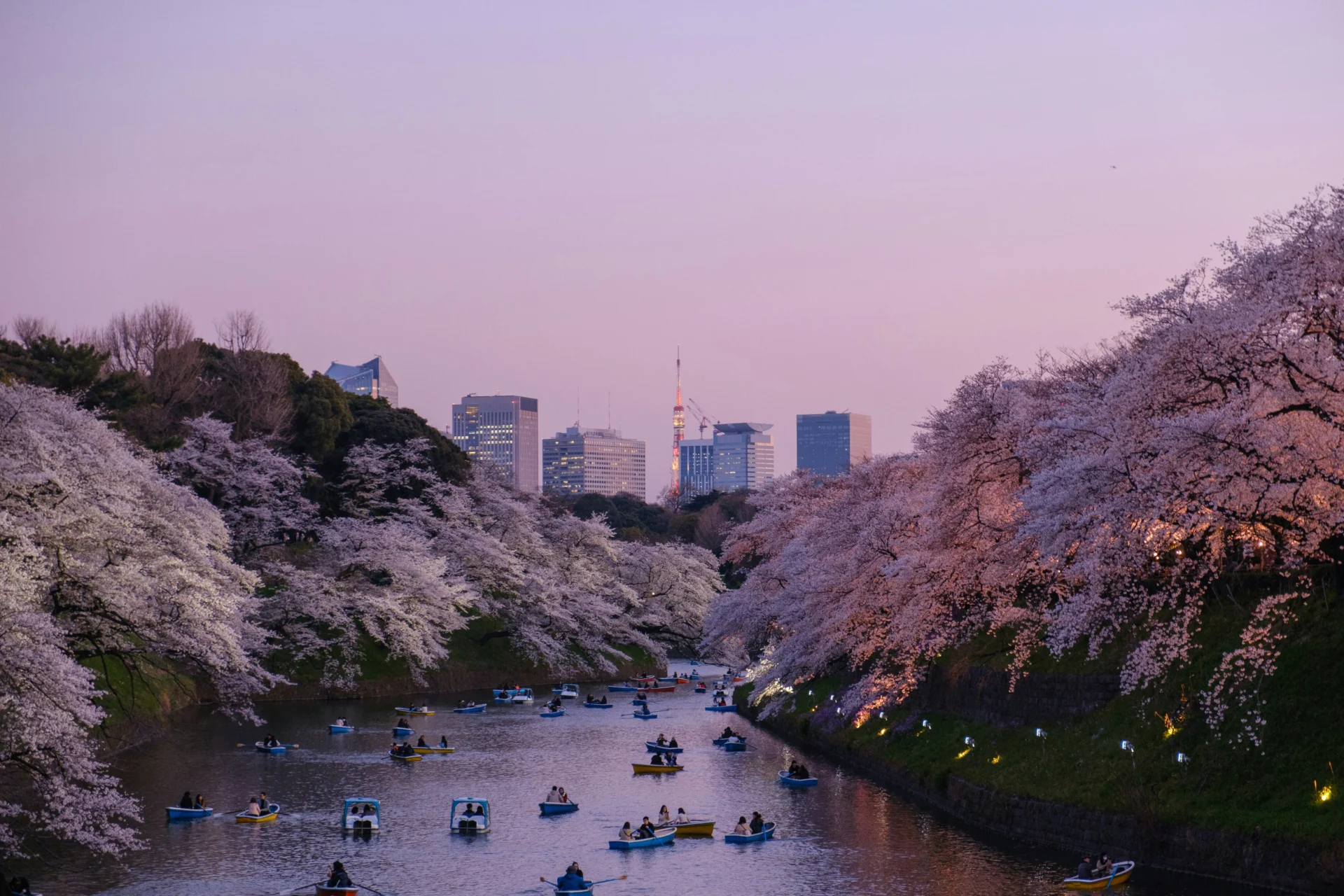 Day 2 Tokyo