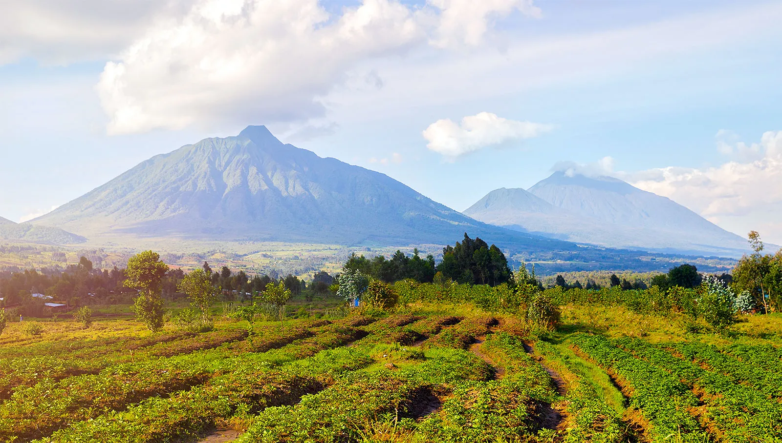 Day 2- Virunga-Mountains 43