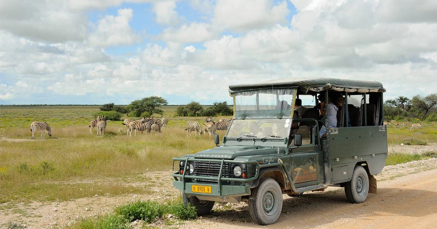 Day 2 chobe-game