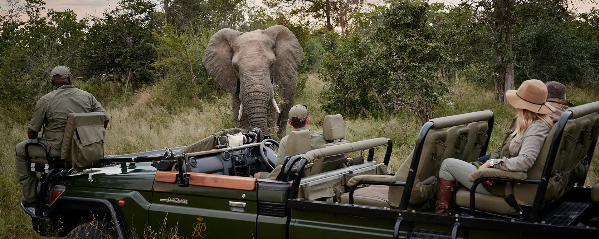 Day 3 Kruger Safari