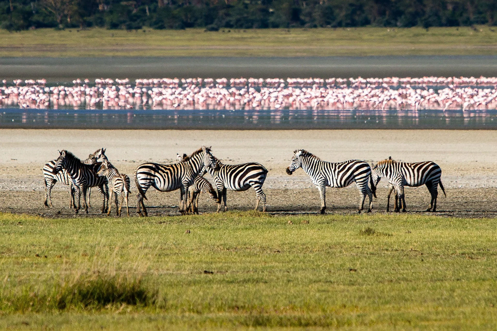 Day 3 Ngorongoro Safari