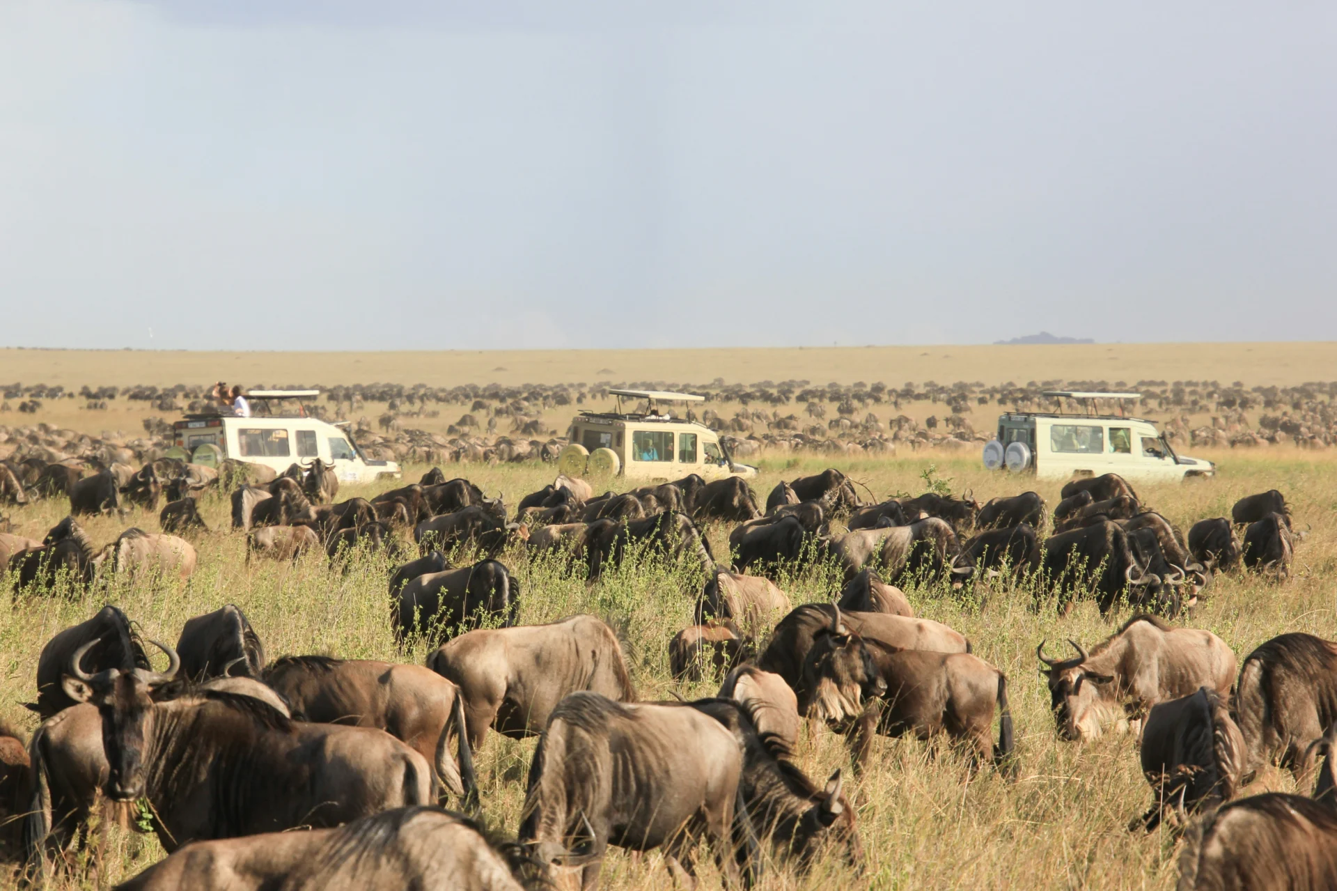 Day 3 Olduvai Gorge