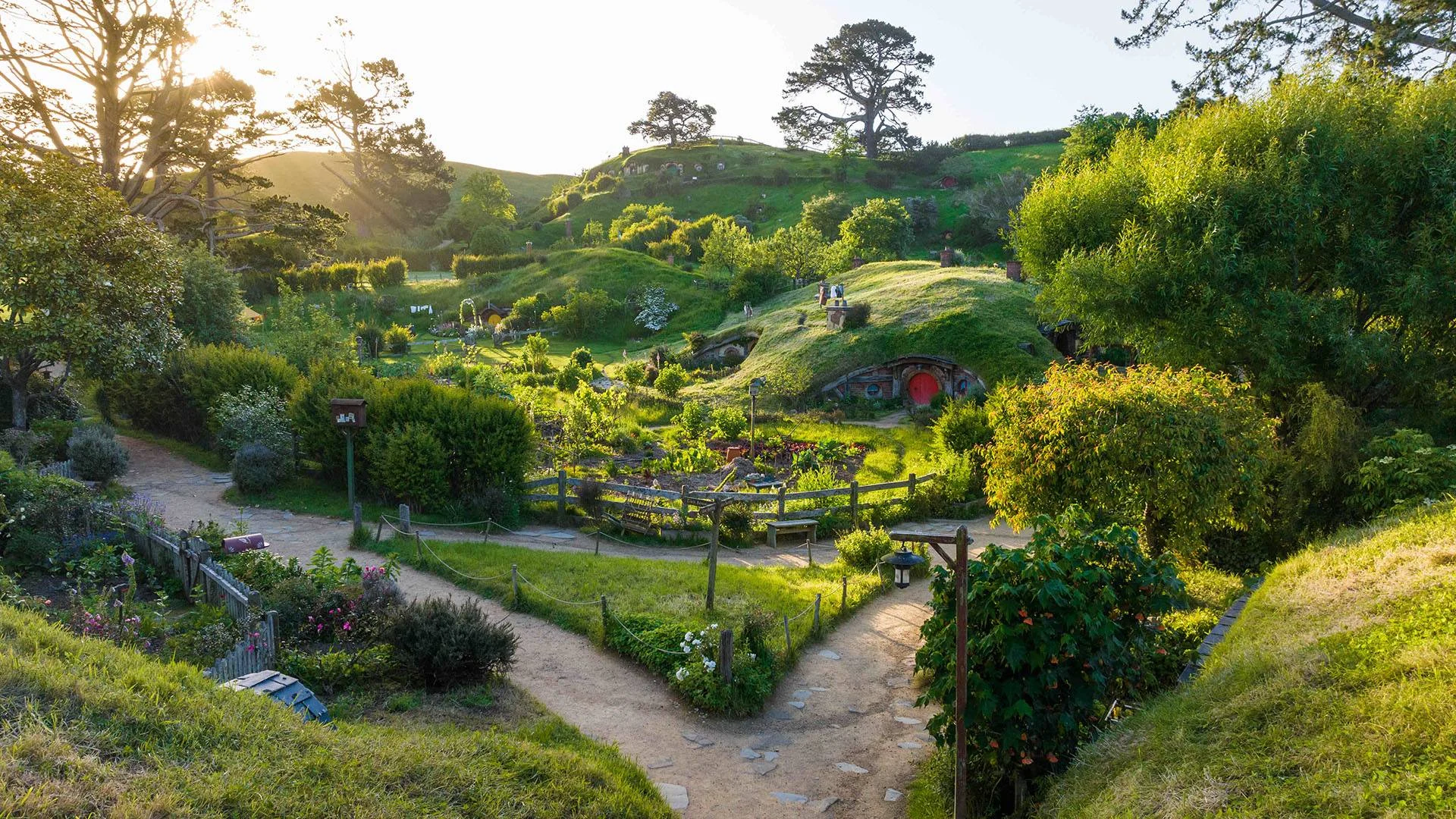 Day 3 Through Middle-Earth to Rotorua 15