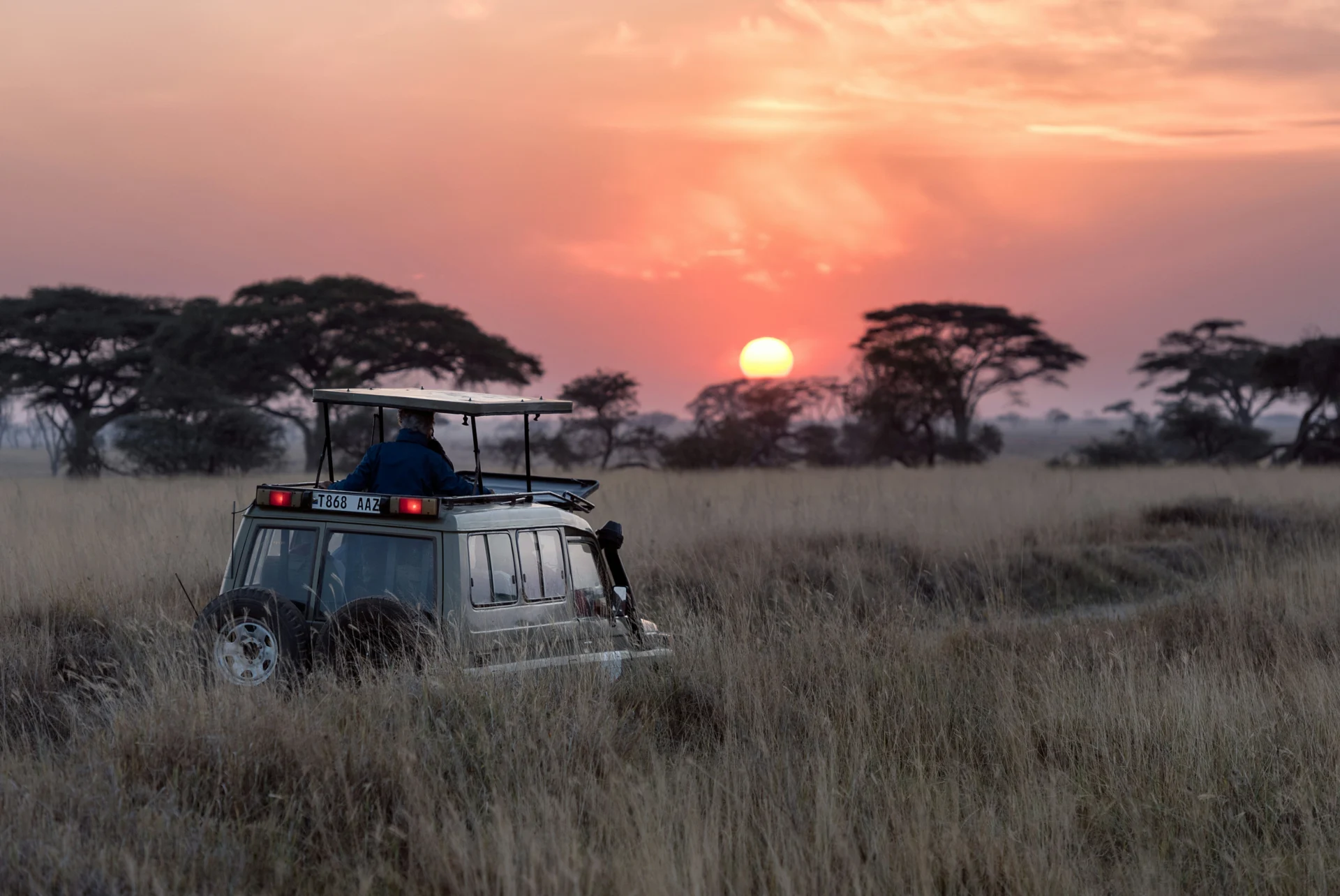 Day 4 27Serengeti