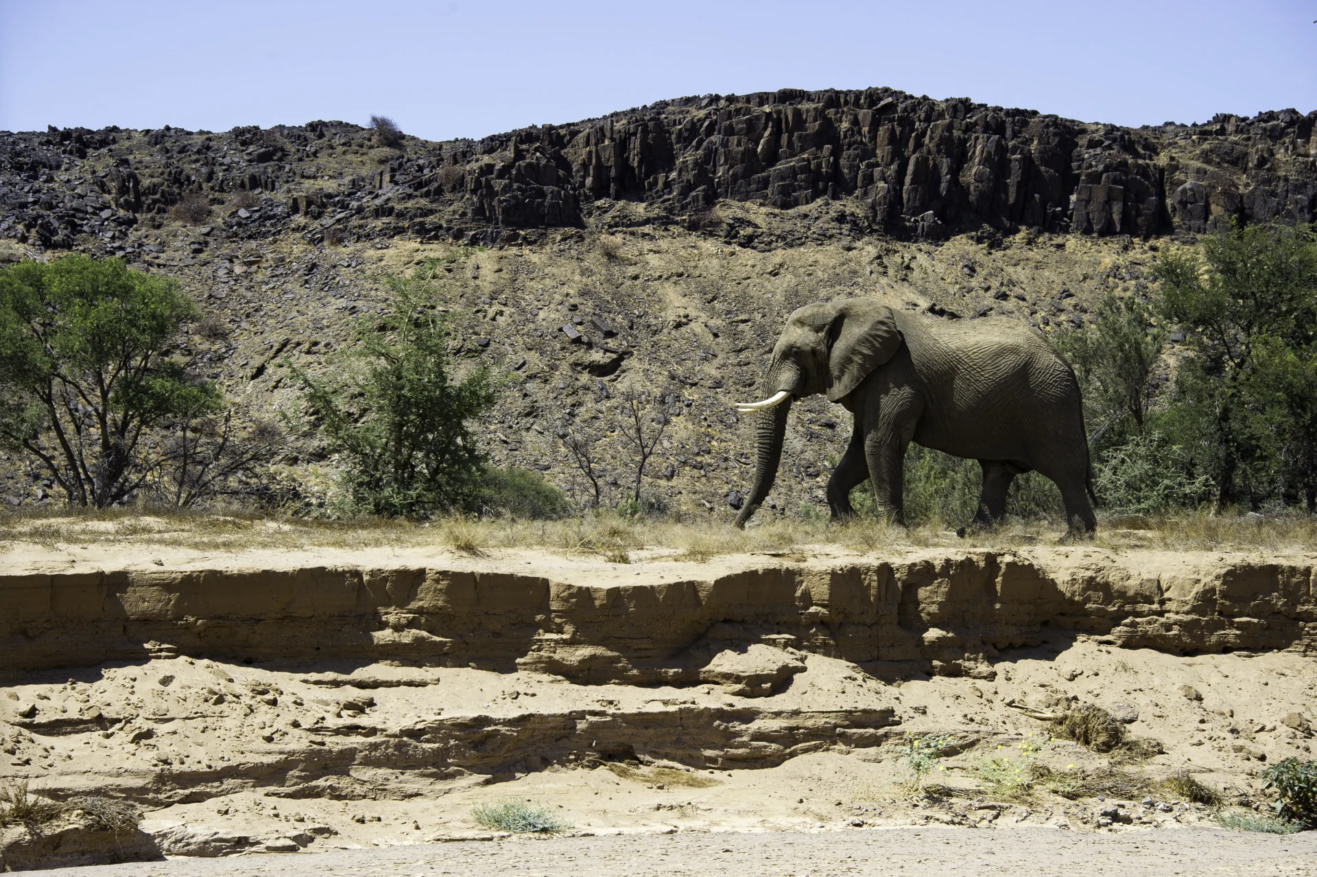 Day 4 Damaraland_45