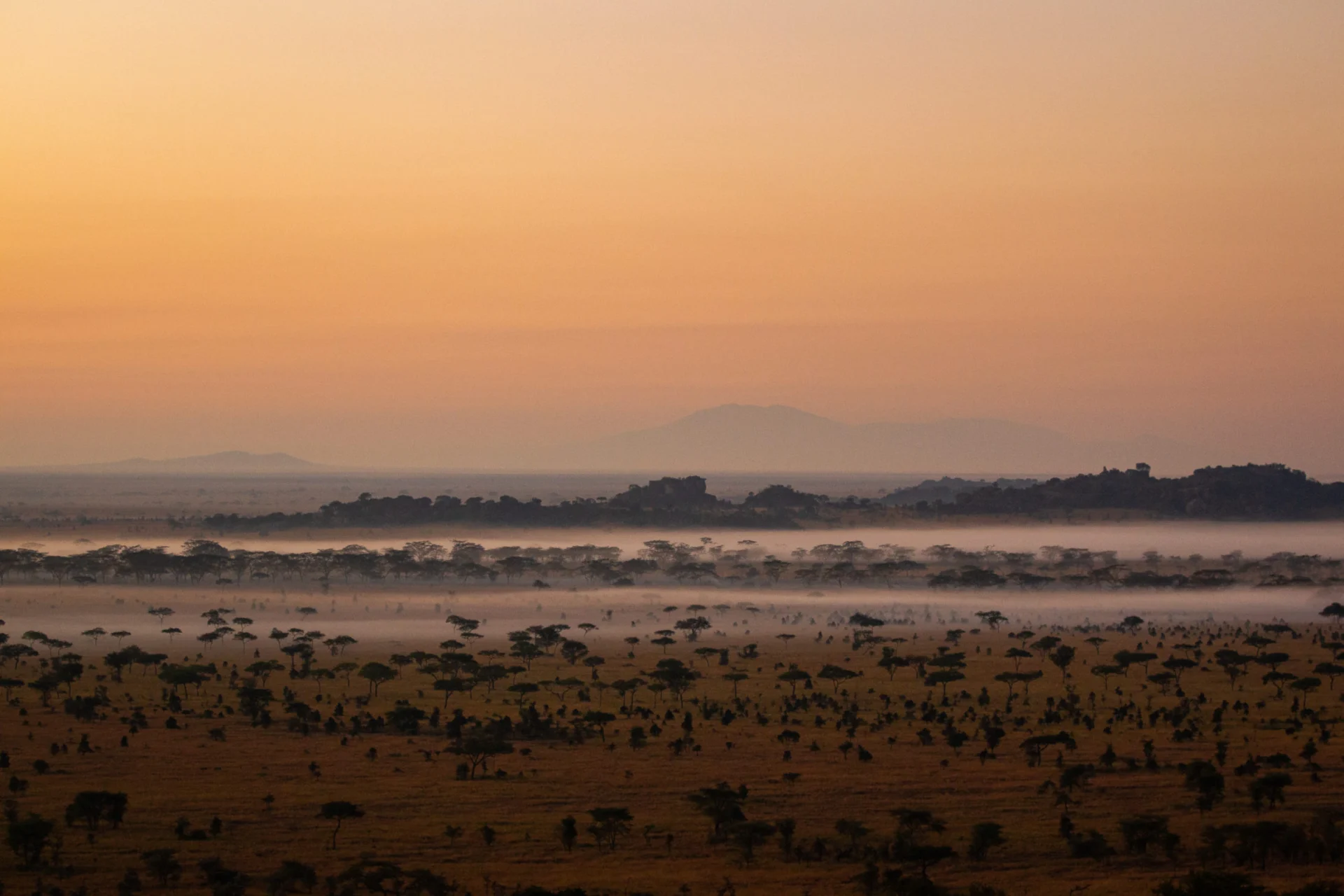 Day 4 Serengeti 43