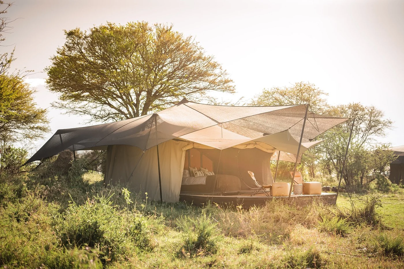 Day 4 Serengeti Tented