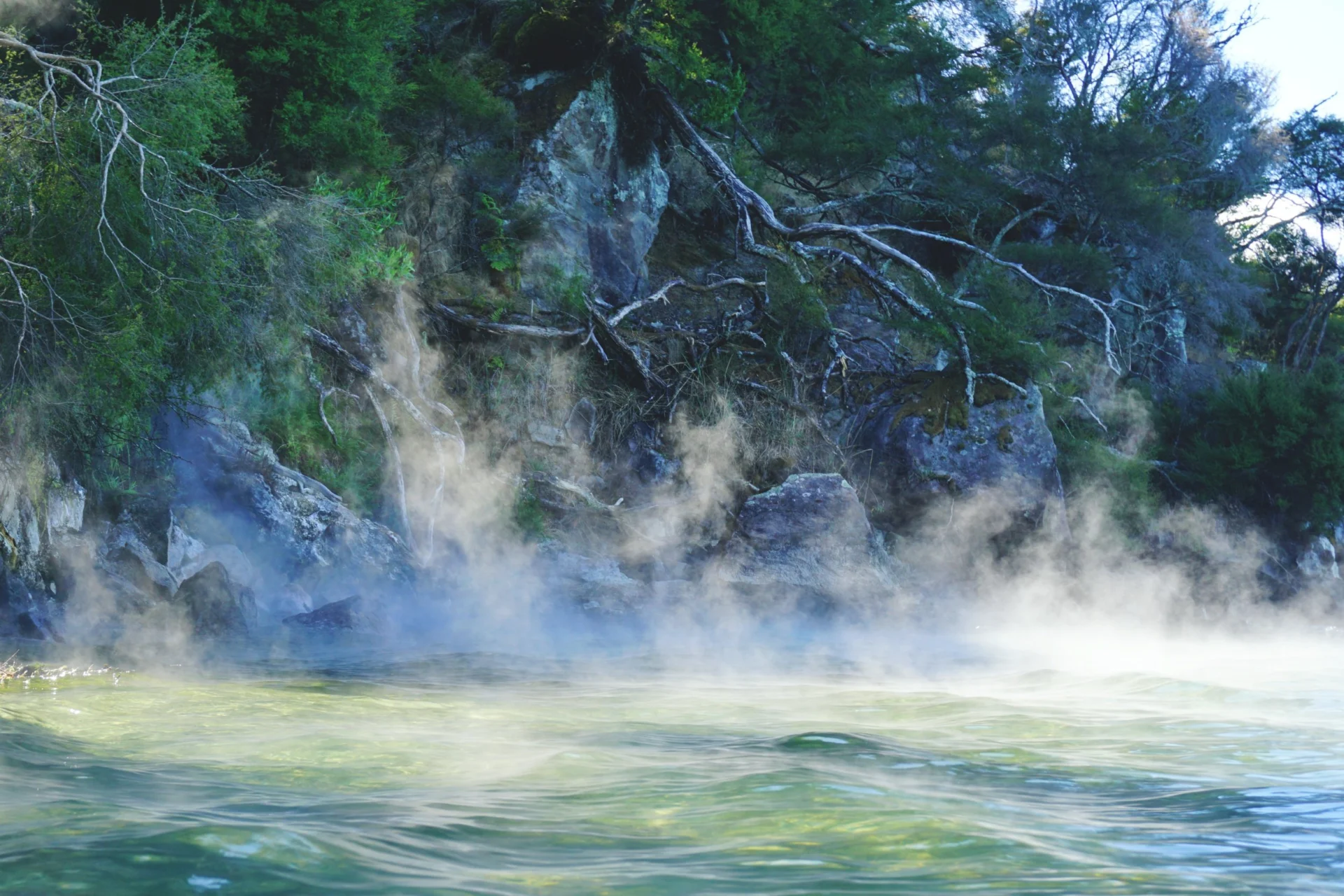 Day 4 lake-tarawera-15