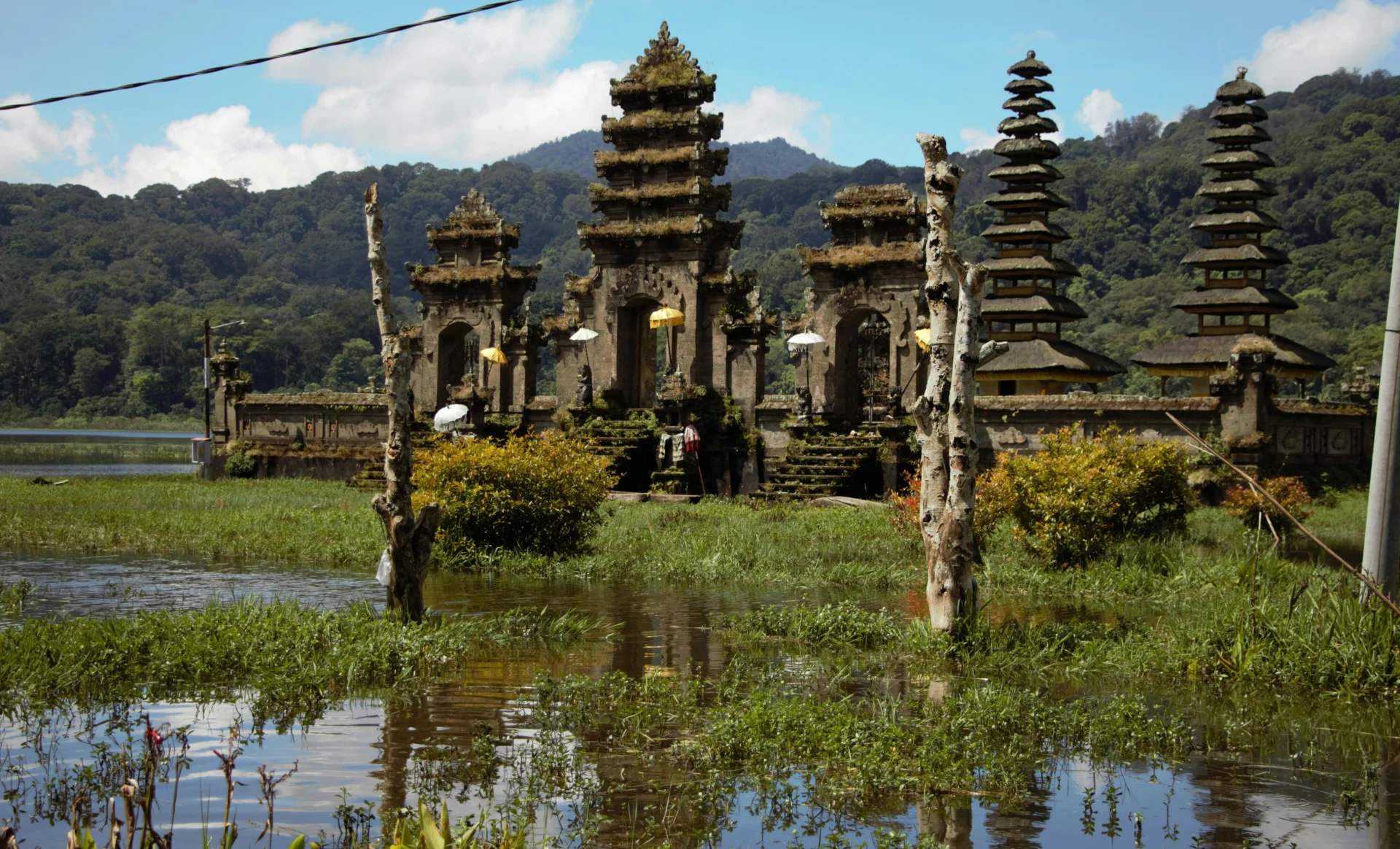 Day 5 Munduk 35