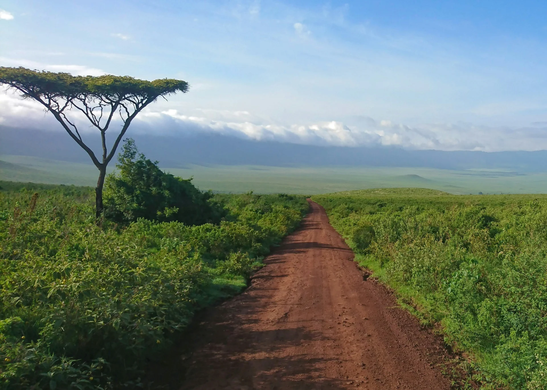 Day 5 Ngorongoro 26