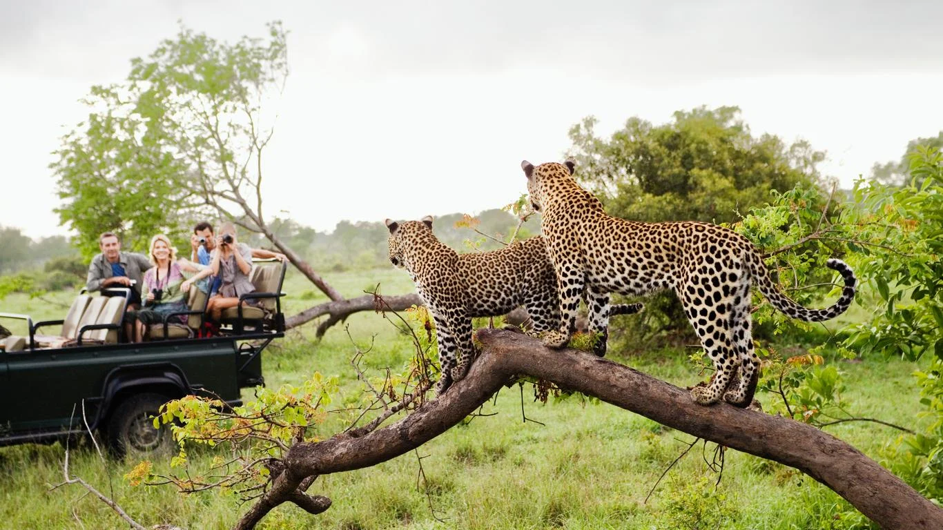 Day 5 Safari
