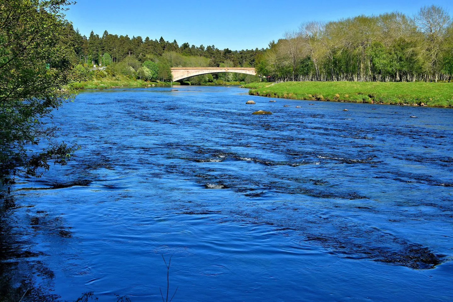 Day 5 Scotland-Highlands 19