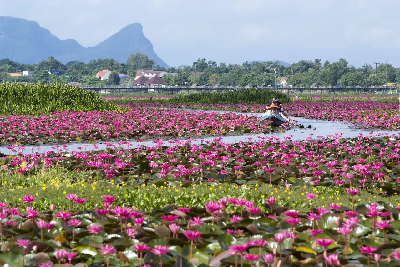 Day 5 Thale Noi Lake 24