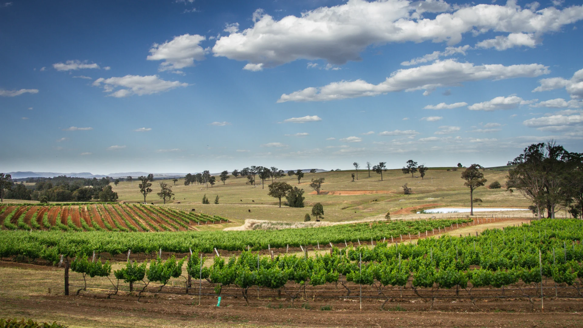 Day 6 Adelaide Hills 14