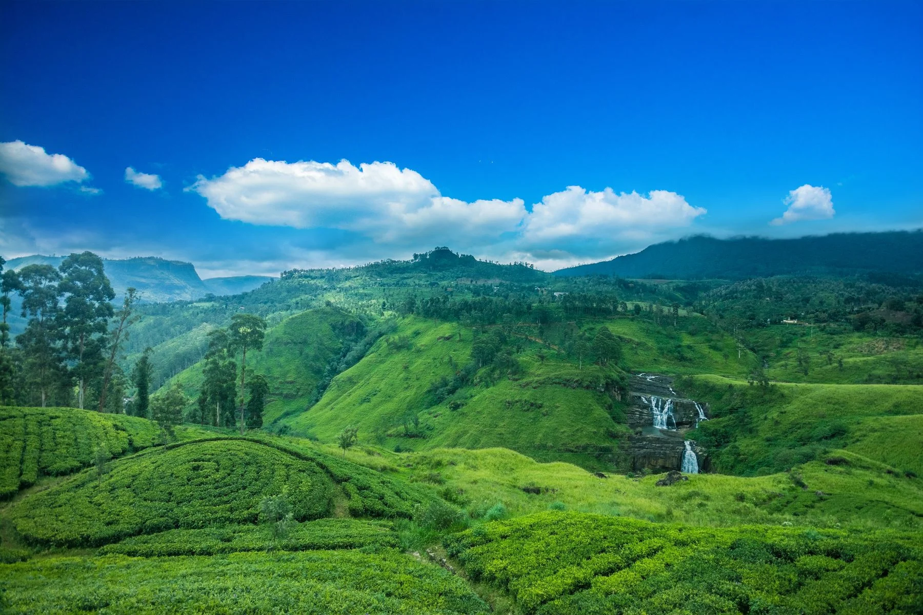 Day 6 Tea Trails & Waterfalls