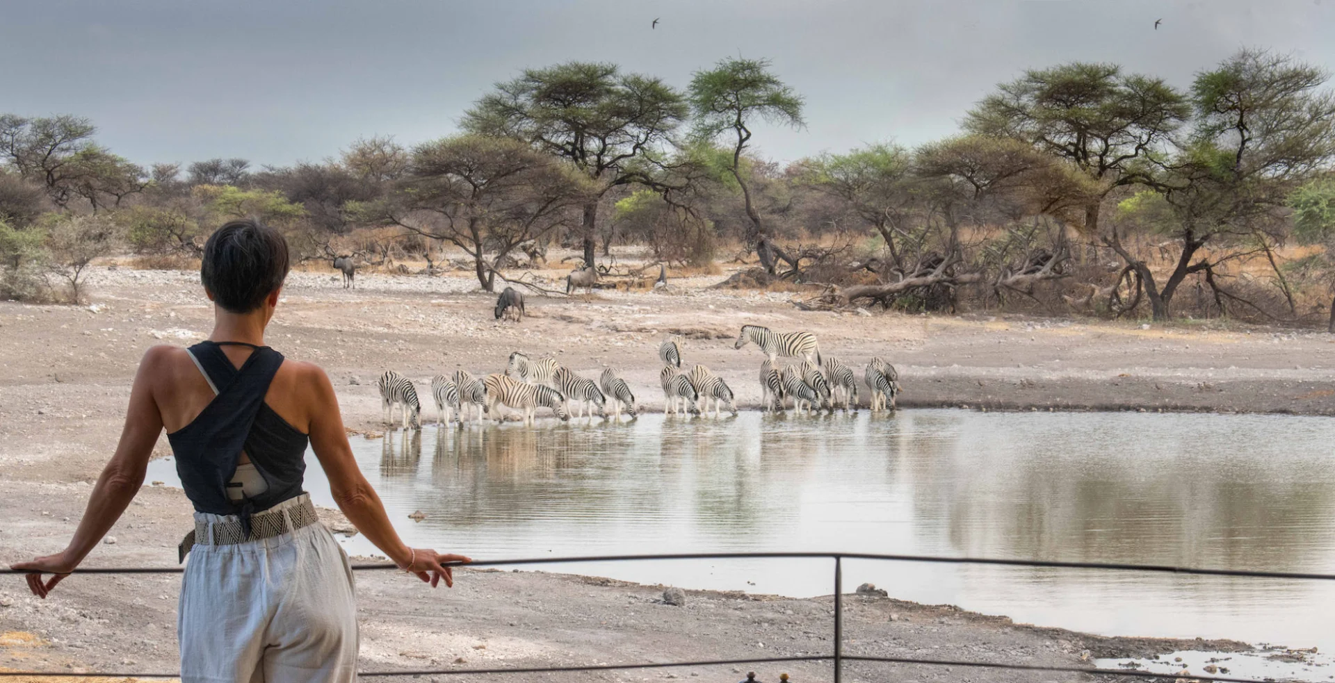Day 7- Etosha 44
