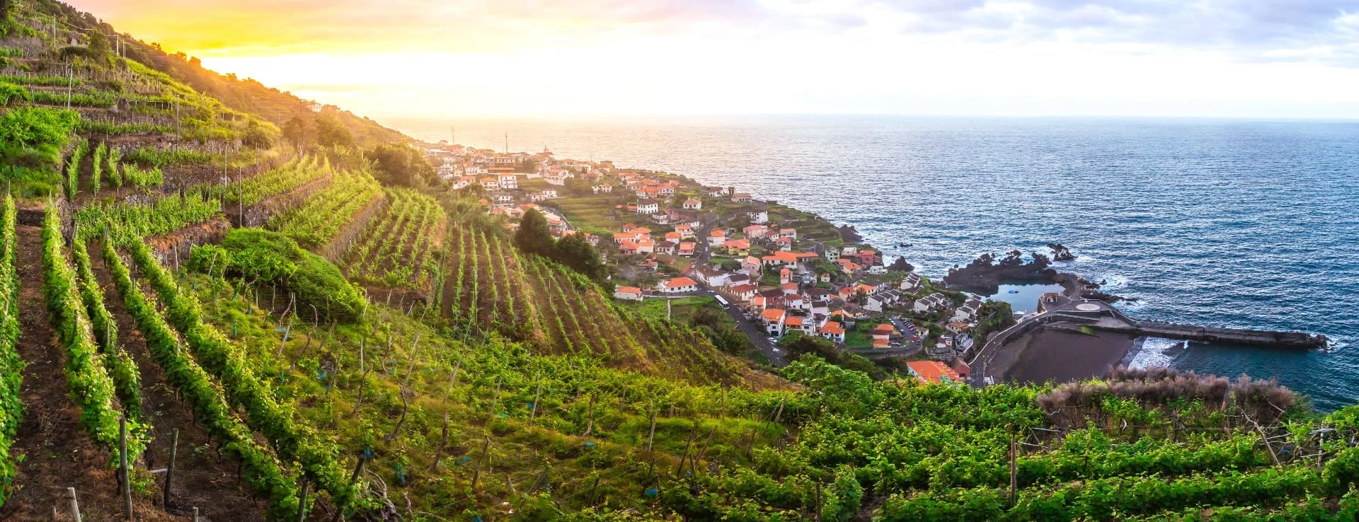 Day 7 Madeira Wine