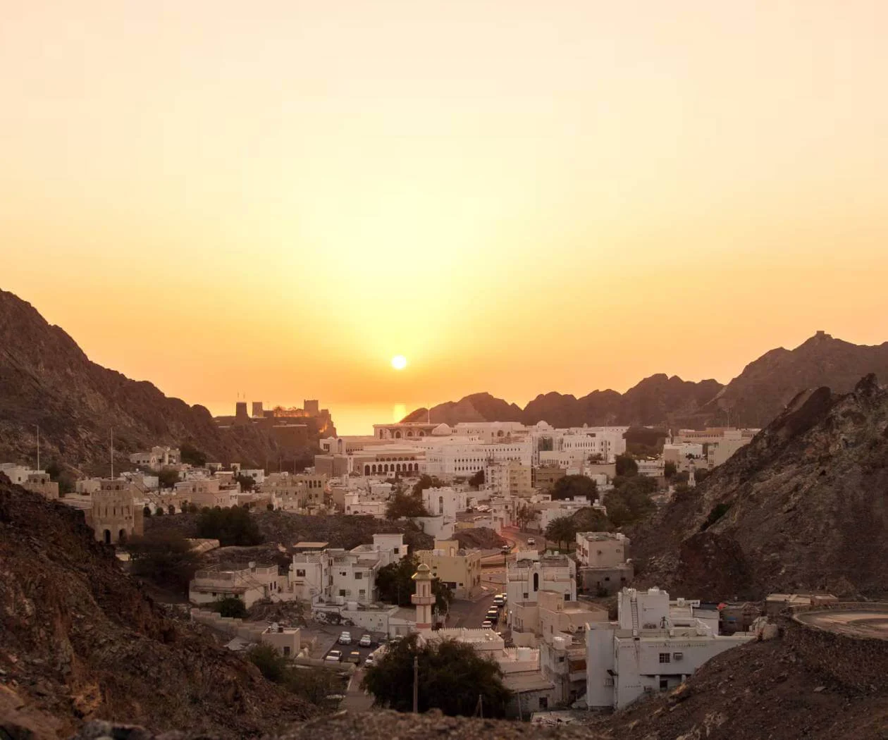 Day 7 Muscat Depart