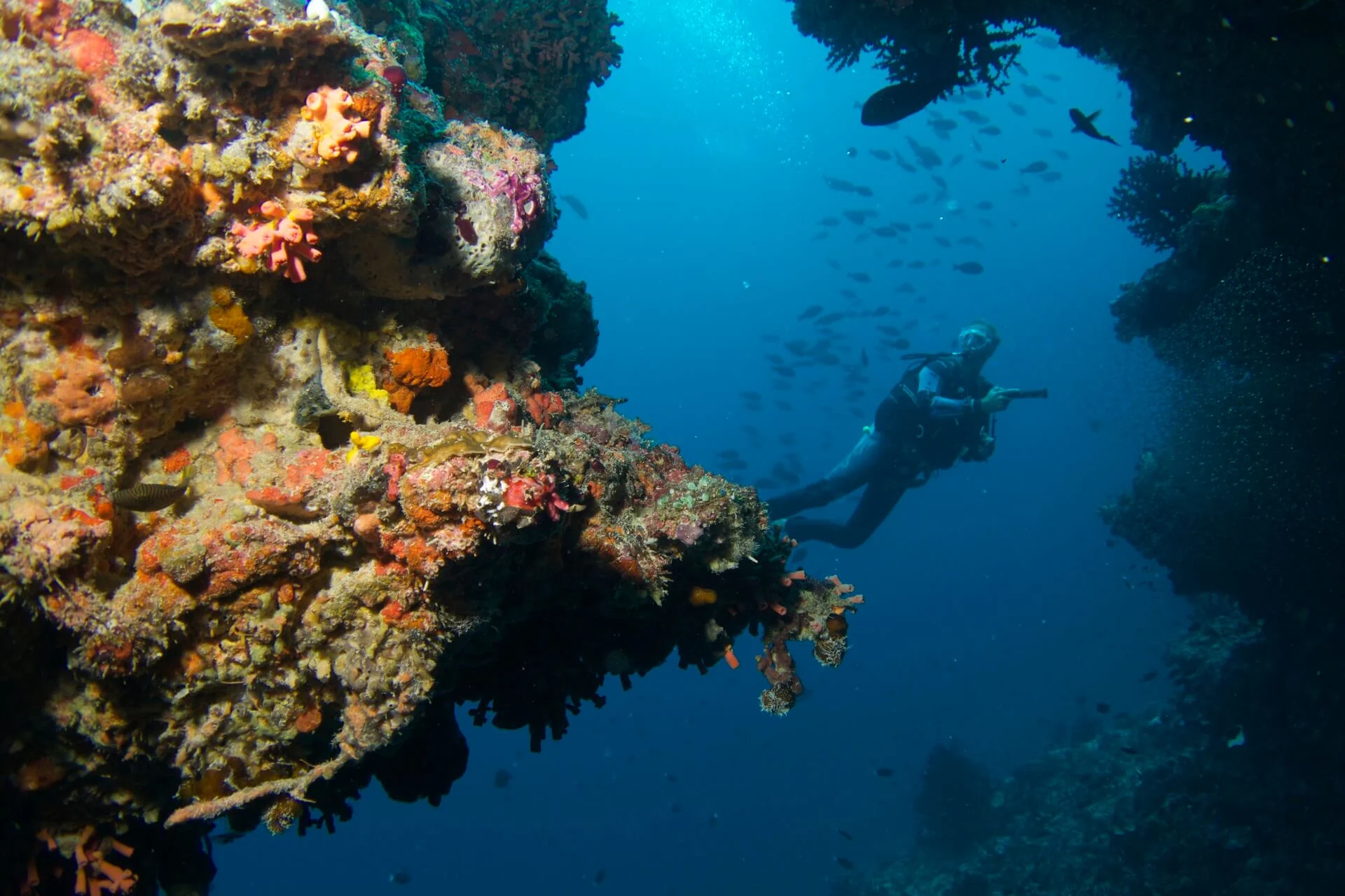 Day 8 Baros-Maldives-Diving