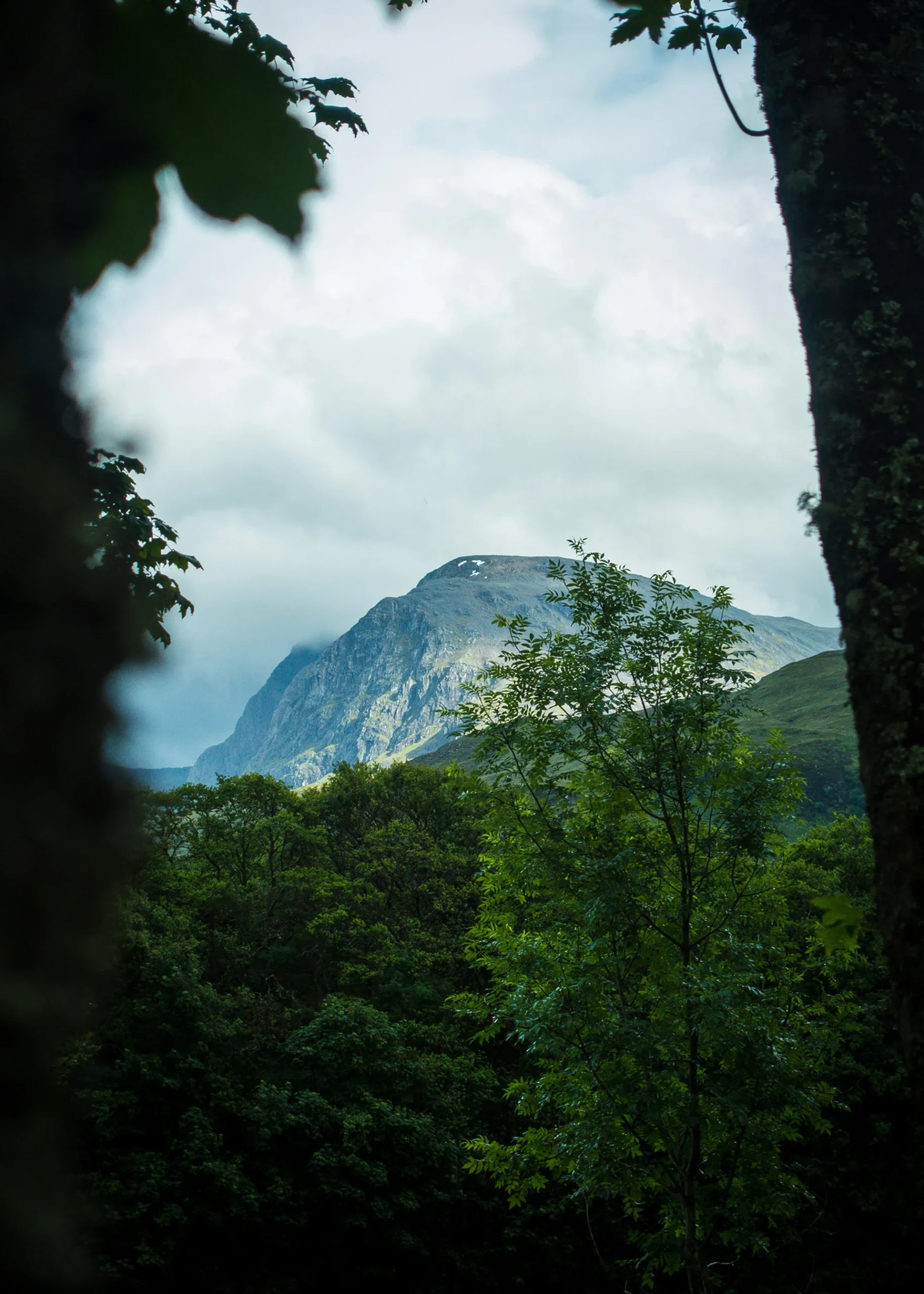 Day 8 Ben Nevis 19