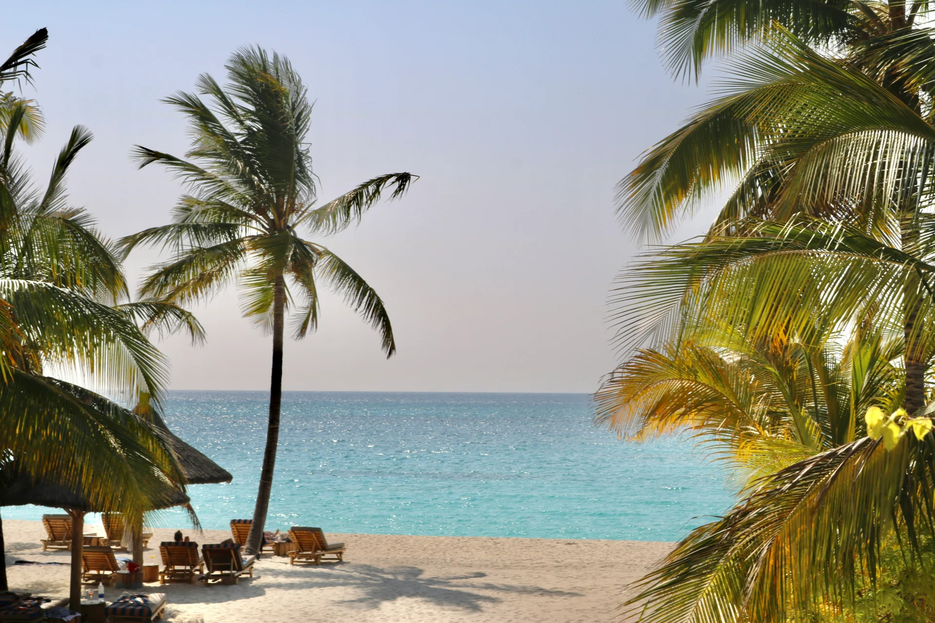 Day 8 Zanzibar 29