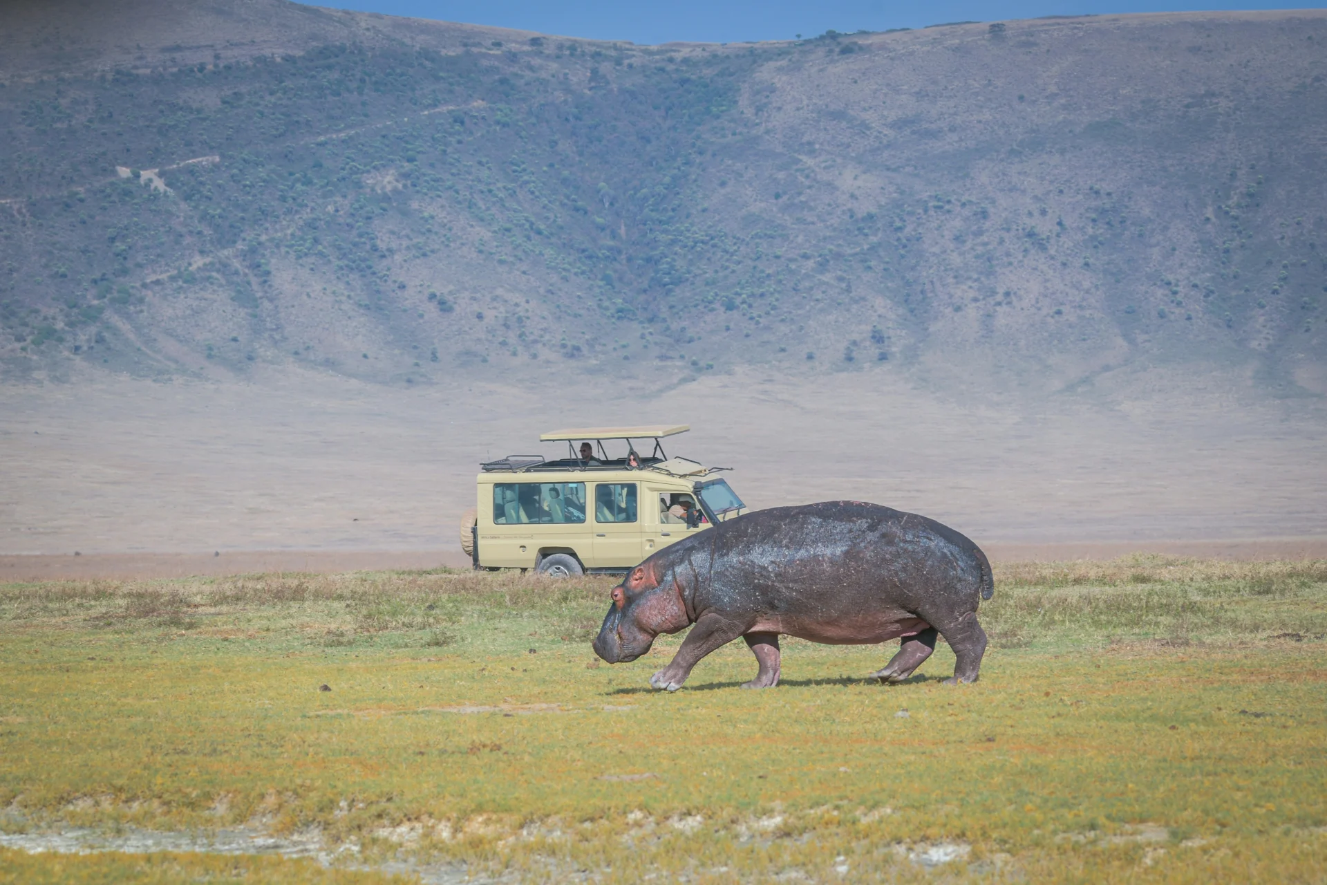 Day Ngorongoro Safari 26