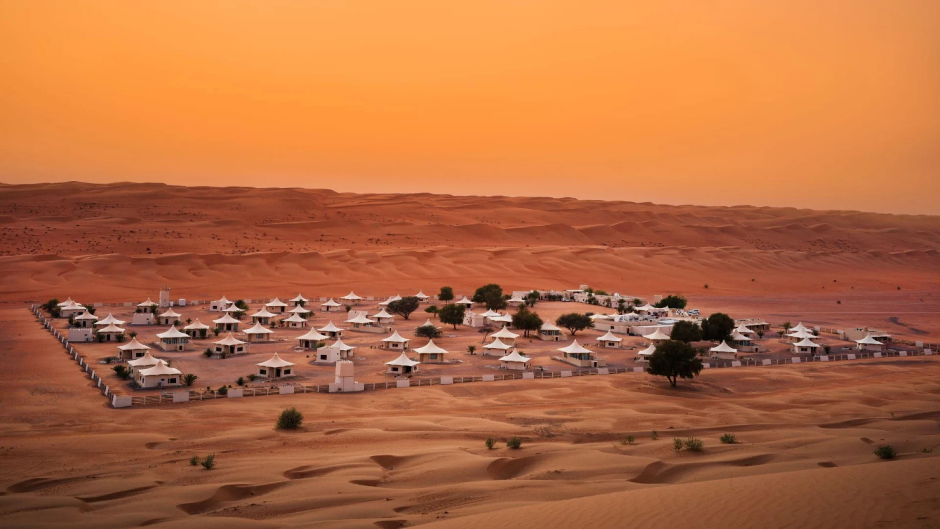 Desert Nights Camp