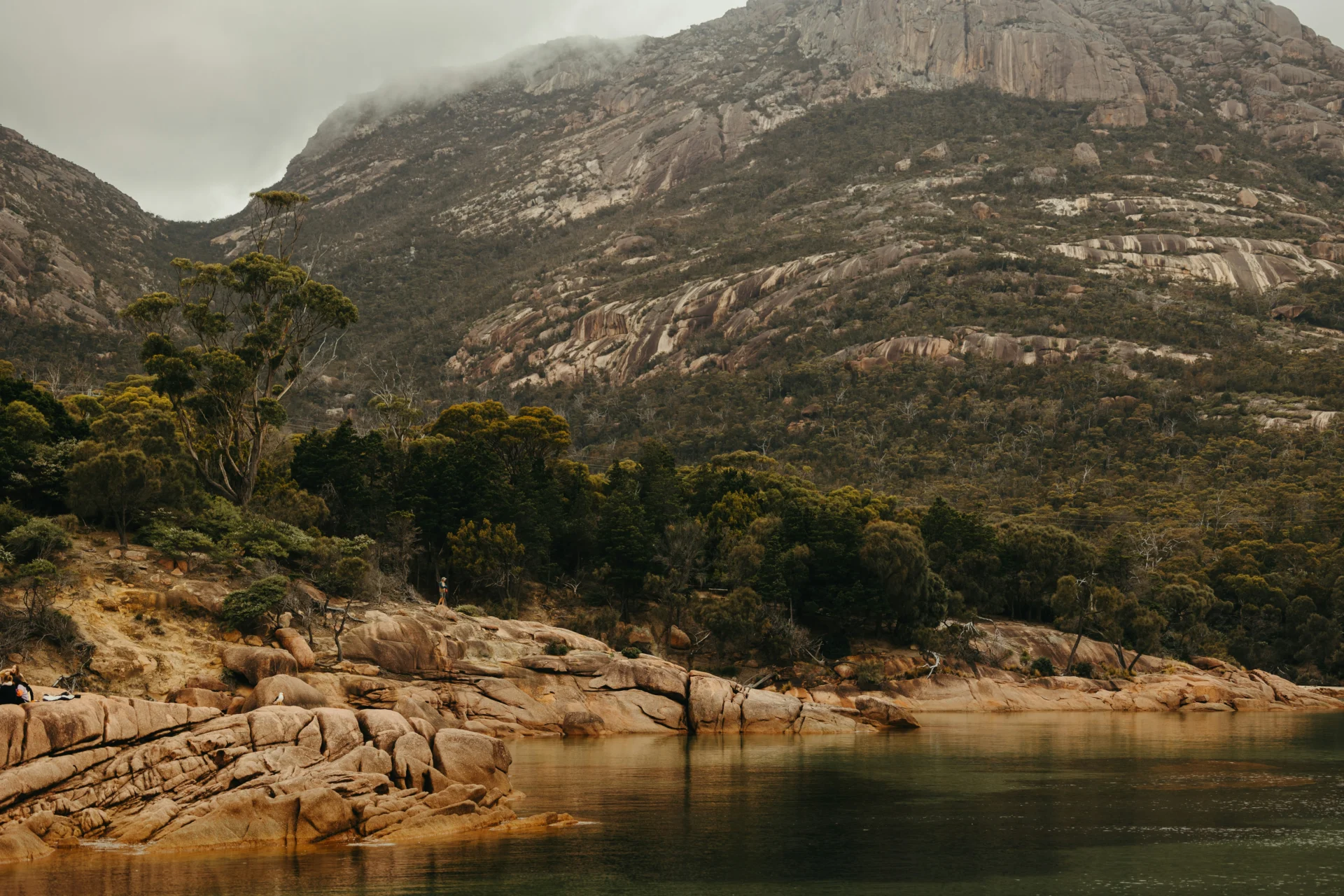 Freycinet 1.14