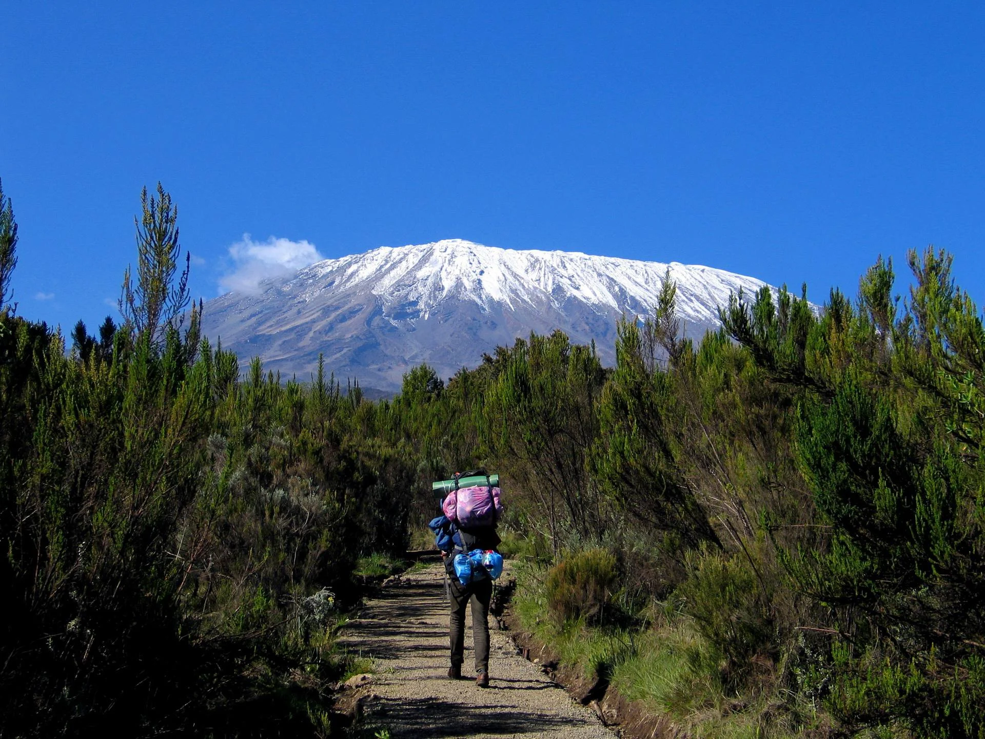 Kilimanjaro_Climb_30