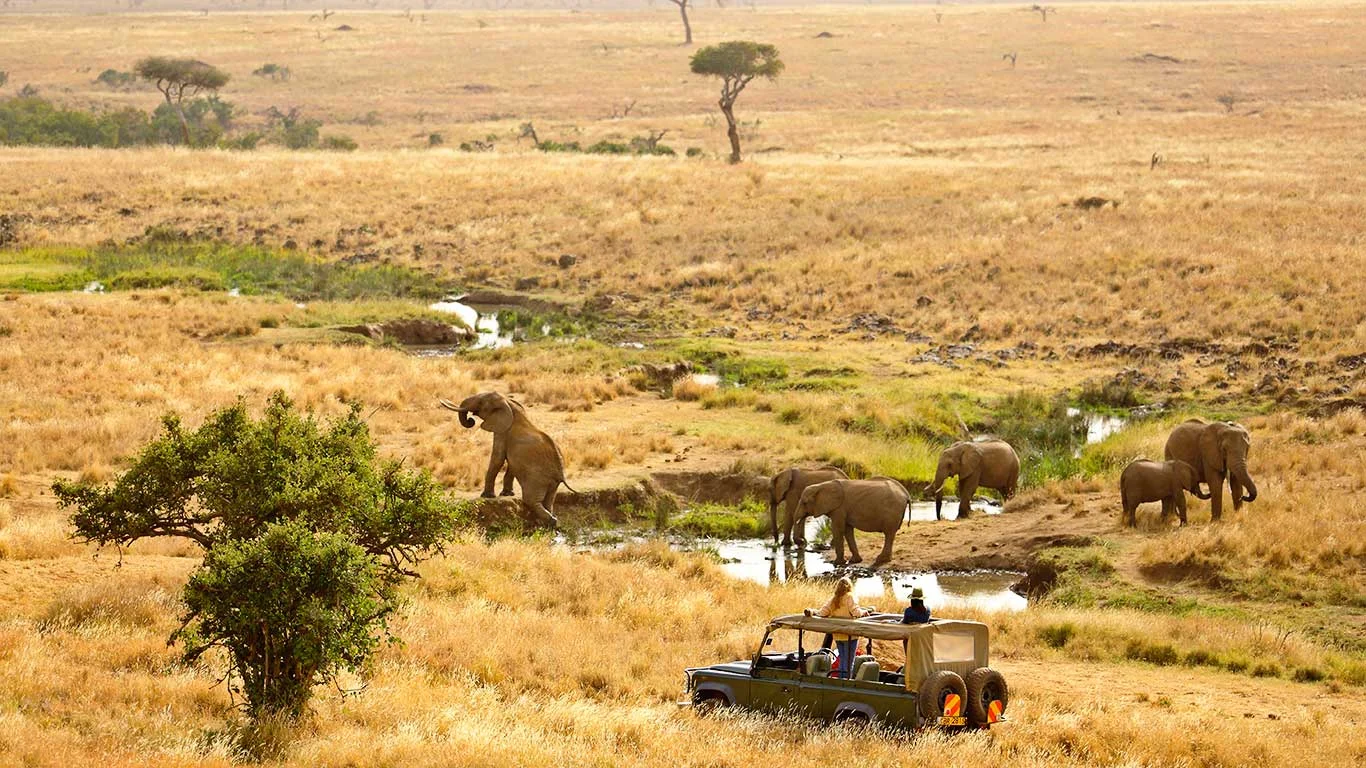 Lewa Downs Conservancy 46