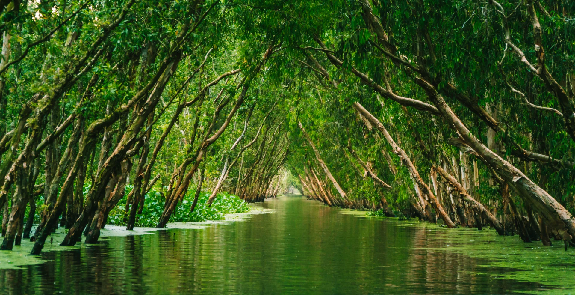 Mekong Delta 40