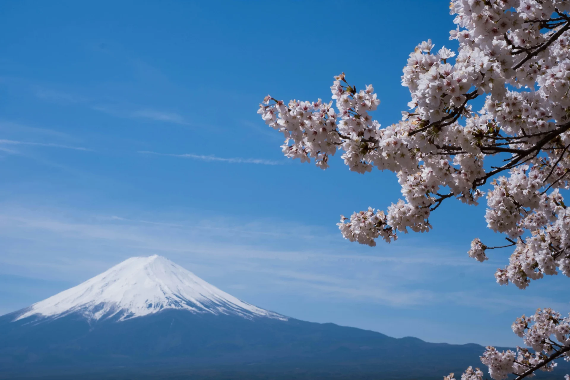 Mt. Fuji 37