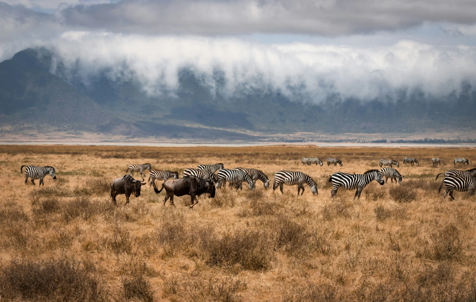 Ngorongoro Crater 26