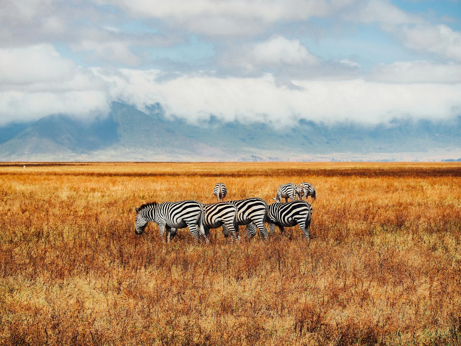 Ngorongoro Crater 28
